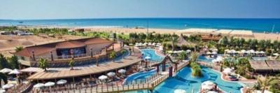 полигамный